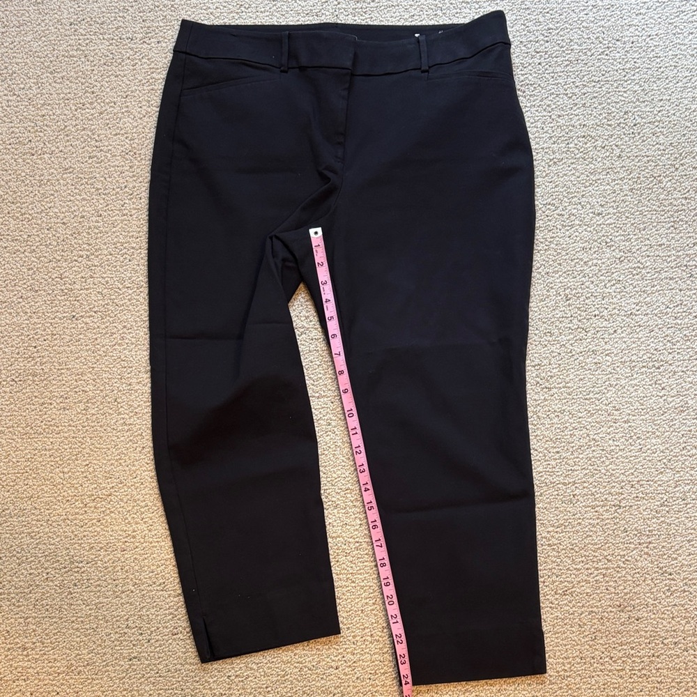 Loft pants